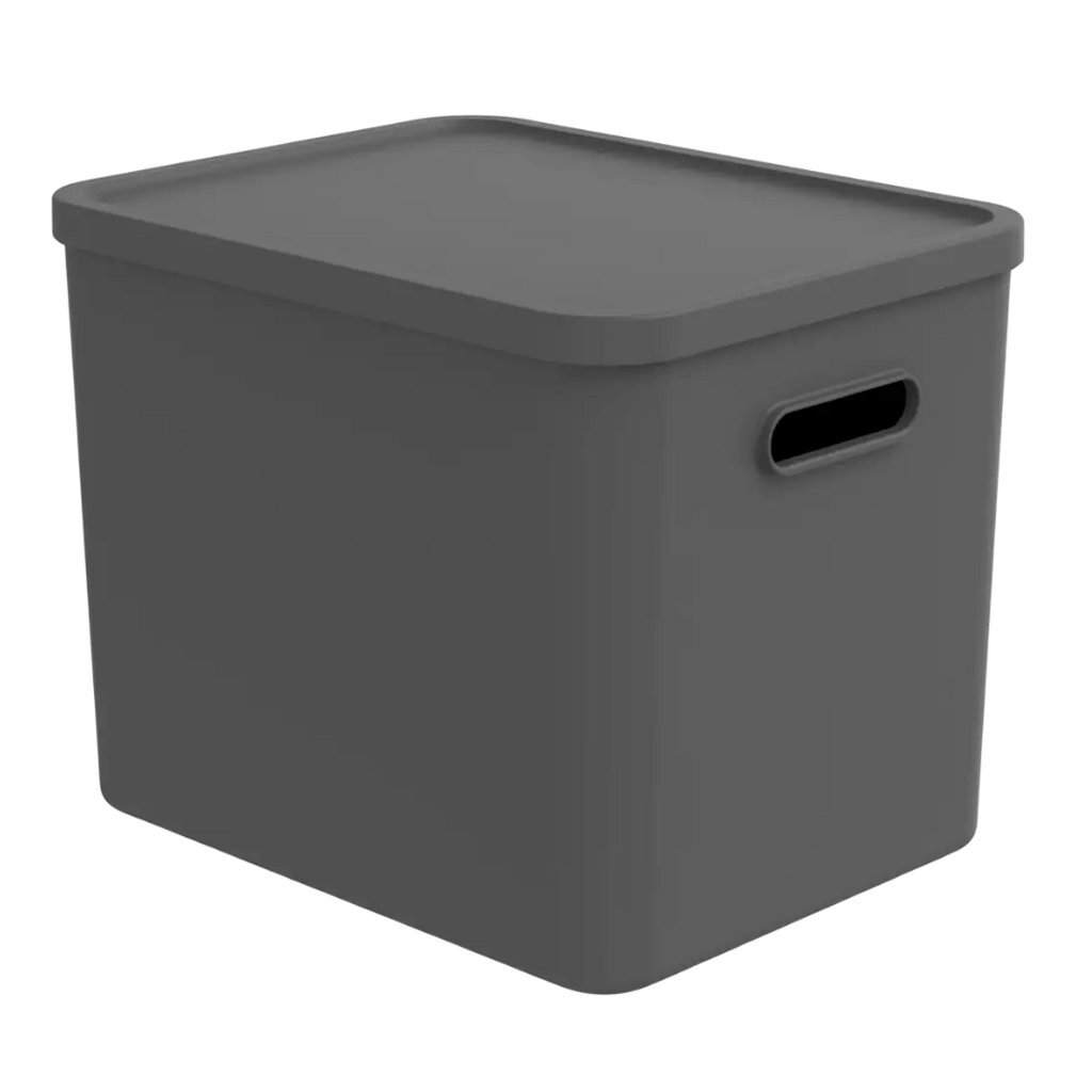 Multibox Rotho Albula 29,5x29x37 cm 27l, antracyt