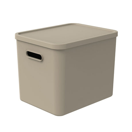 Multibox Rotho Albula 29,5x29x37 cm 27l cappuccino