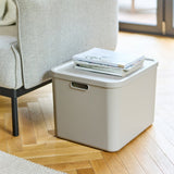 Multibox Rotho Albula 55l biały
