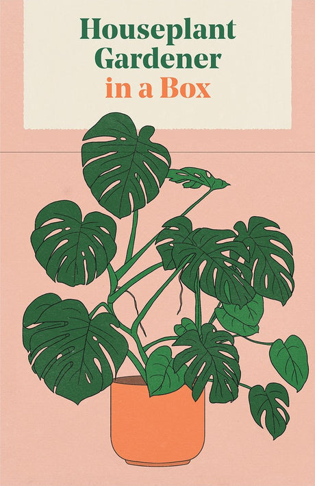 Houseplant gardener in a box