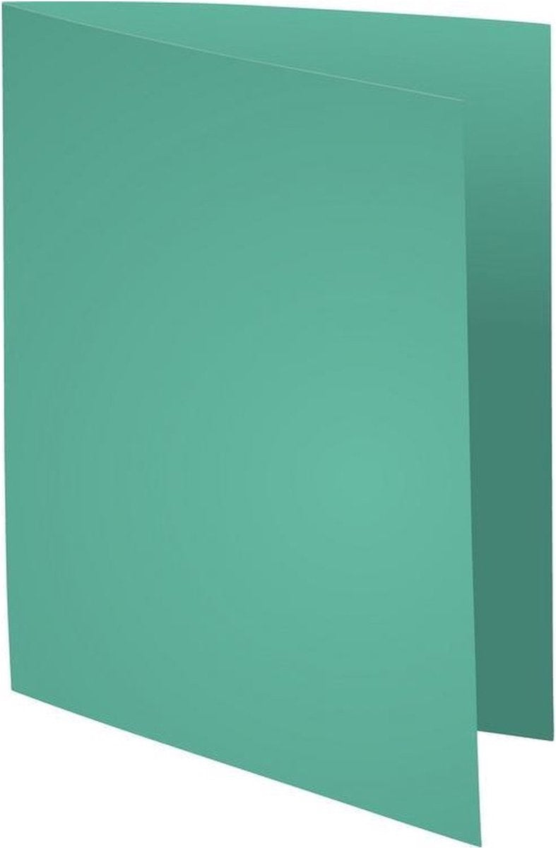 Teczka na dokumenty Exacompta Jurassic Soft Green