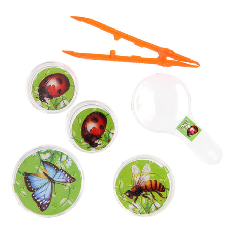 Zestaw do obserwacji owadów Bugs World, 5 sztuk