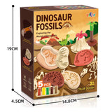 Kleiset dinosaurus fossielen - 5 kleuren klei