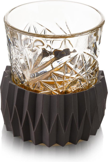 Vacuvin vacu vin active cooler whiskey