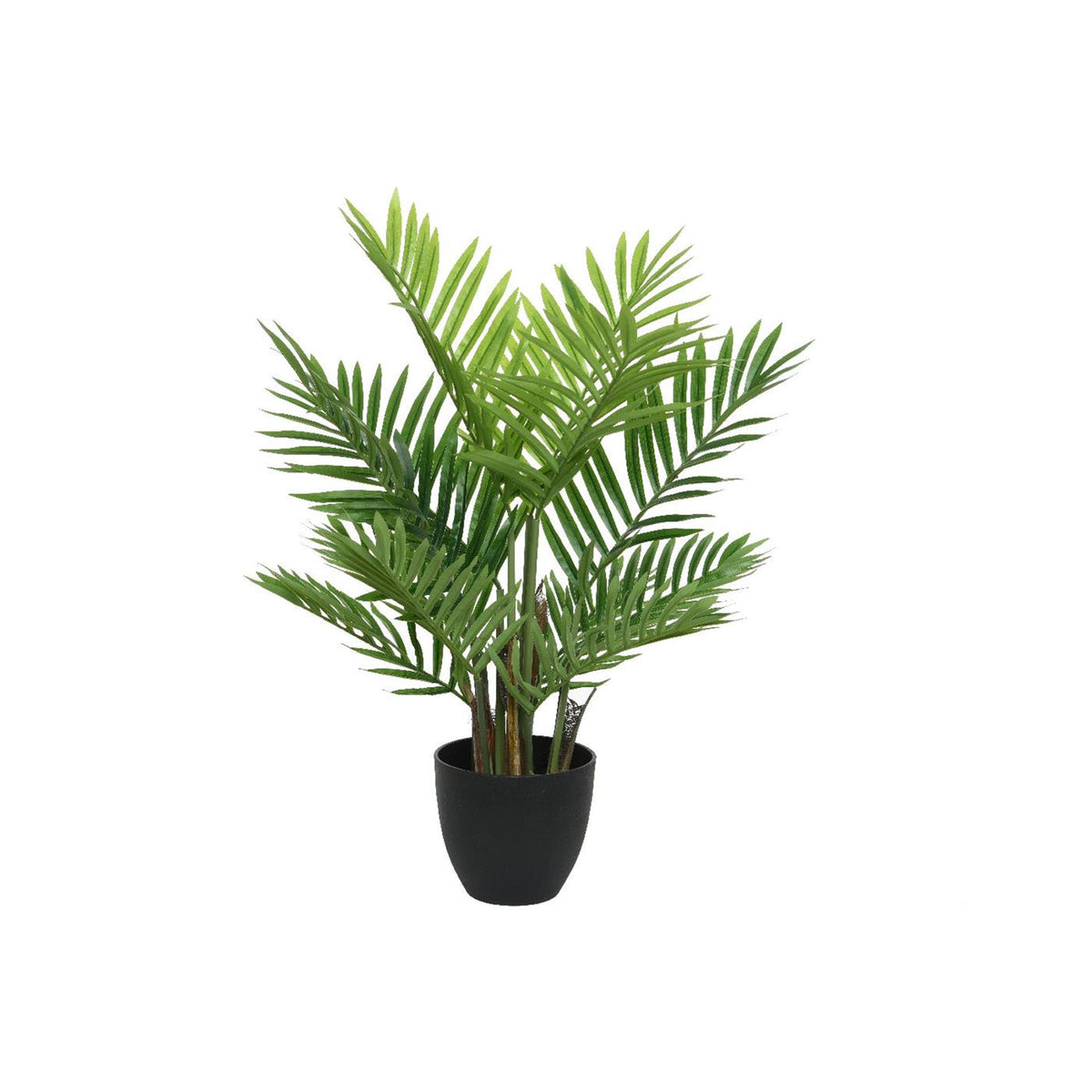 Decoris palmboom in pot plastic 61x61x73cm