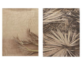 Tkanina ścienna Decoris z wiszącymi oczkami 90x120cm fototapeta z liściem palmowym 2 sztuki