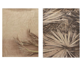 Tkanina ścienna Decoris z wiszącymi oczkami 90x120cm fototapeta z liściem palmowym 2 sztuki