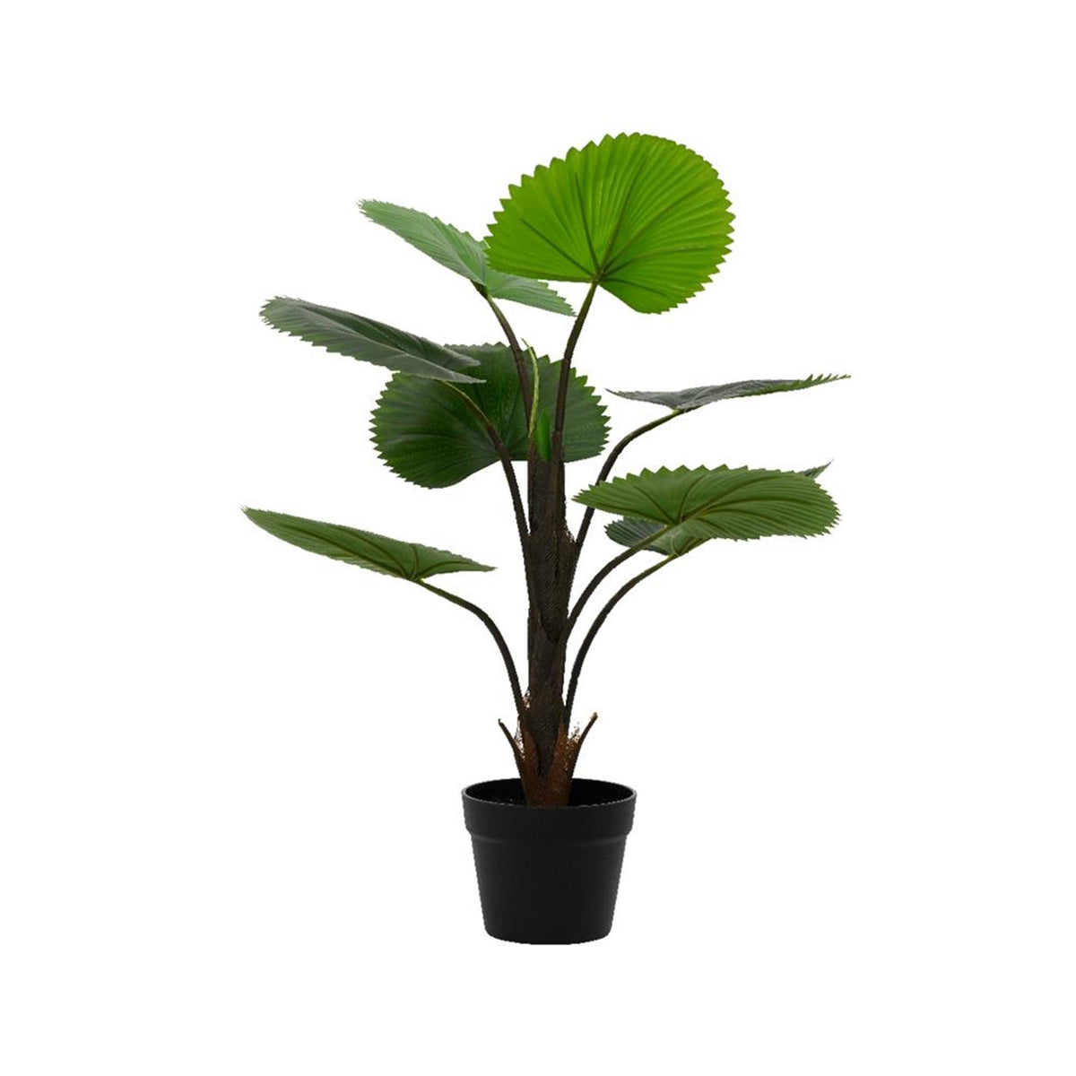 Decoris sztuczna roślina palma licuala h75cm