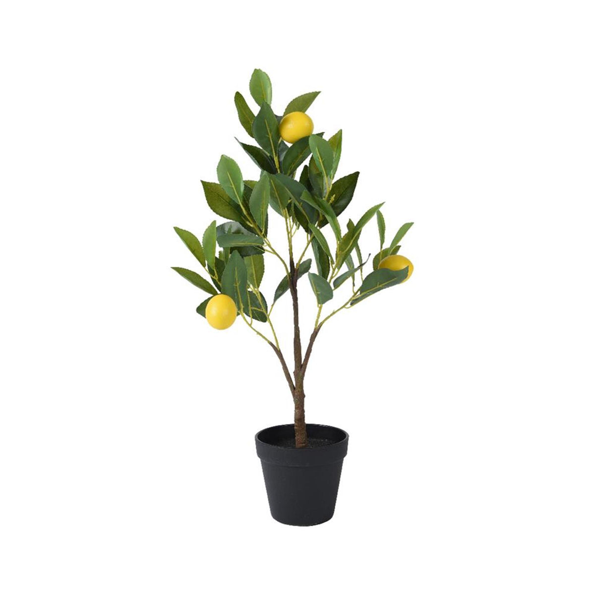 Drzewo cytrynowe Decoris w doniczce poliestrowej śr.24x60cm