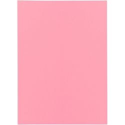 Folder sortujący bangali exacompta 850003e papier makulaturowy 60g m2 31x22cm różowy