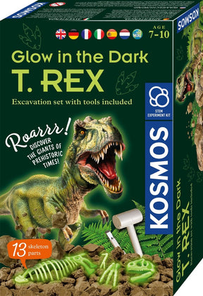 Kosmos świecący w ciemności jedzący t-rex