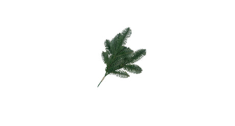Nobilus bundle x 6 30 cm green