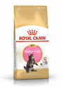 Royal Canin Royal Canin Maine Coon Kitten - karma dla kotów - 2kg