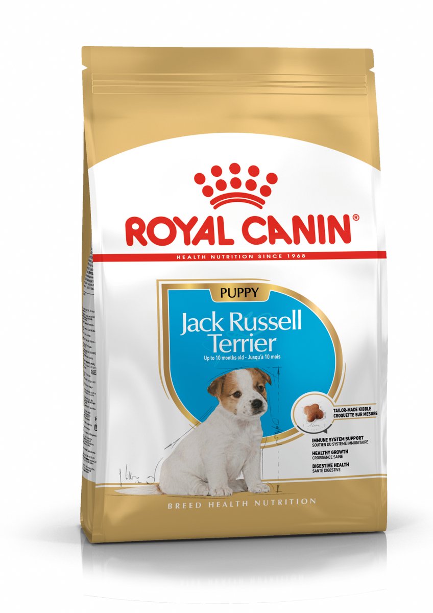 Royal Canin Jack Russell Terrier Junior - 1,5 kg - karma dla psów