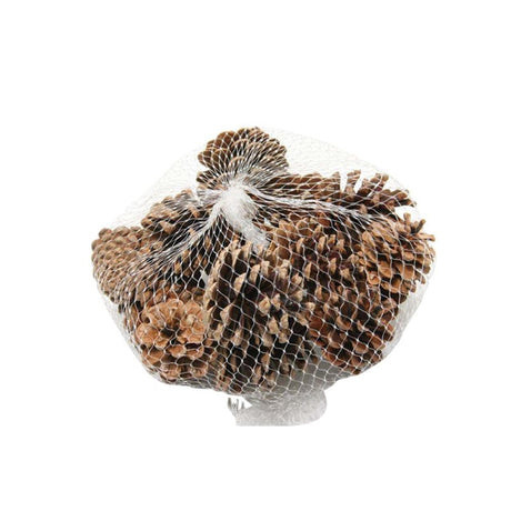 HBx Natural Living szyszki sosnowe worek 15 sztuk w kolorze naturalnym