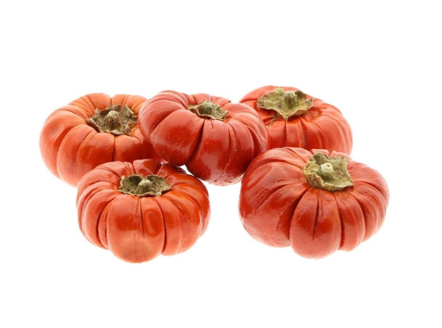 Hbx natural living hobby pompoenset 5-delig circa ø5cm