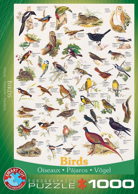 Eurographics - ptaki [ptaki] - 1000 elementów 48×68cm (szer.×wys.) - układanka