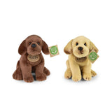 Pluszowy labrador retriever 2 rodzaje 20cm e
