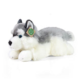 Pluszowy husky 30 cm ekologiczny