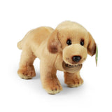 Pluszowy labrador 20 cm ekologiczny