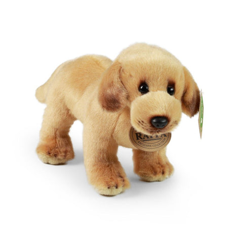 Pluszowy labrador 20 cm ekologiczny