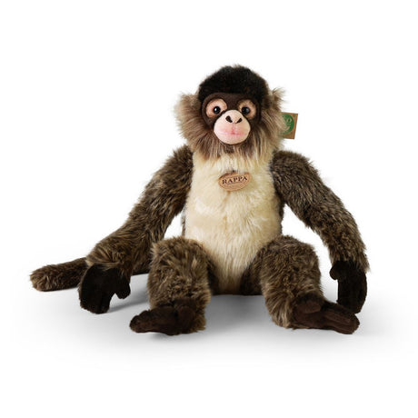 Pluche spider monkey 30 cm eco-vriendeli