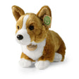 Pluche corgi hond 32 cm eco-vriendelijk | 2 stuks