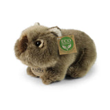 Pluszowy wombat 20 cm ekologiczny