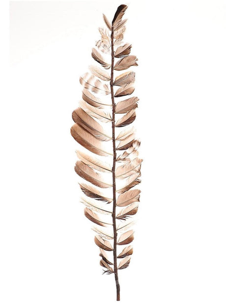 Aparani z ozdobnymi piórami gałęzi Hbx, naturalne, 18x60 cm