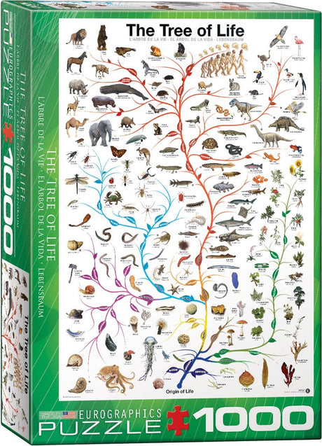 Eurographics - drzewo życia - diagram ewolucji - 1000 elementów 48×68cm (szer.×wys.) - układanka