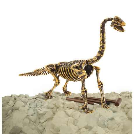 Baza Dino | 3 sztuki