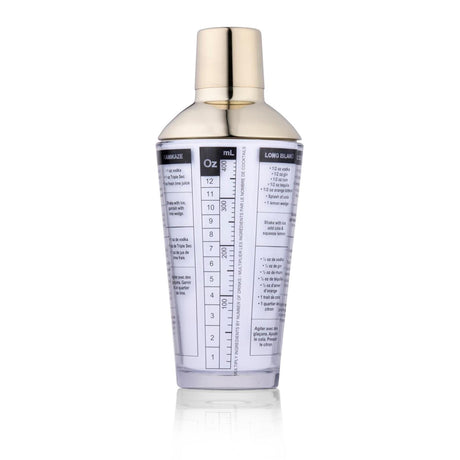 Szklany shaker do koktajli Alpina z pokrywką ze stali nierdzewnej 480ml
