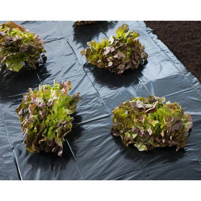 Nature Cover Film 3x4 M 150µ Black