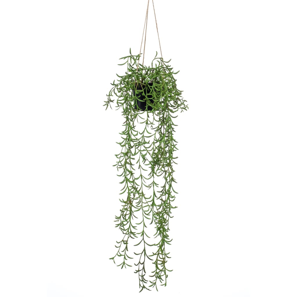Szmaragdowy zakład wiszący w Pot Senecio 70 cm