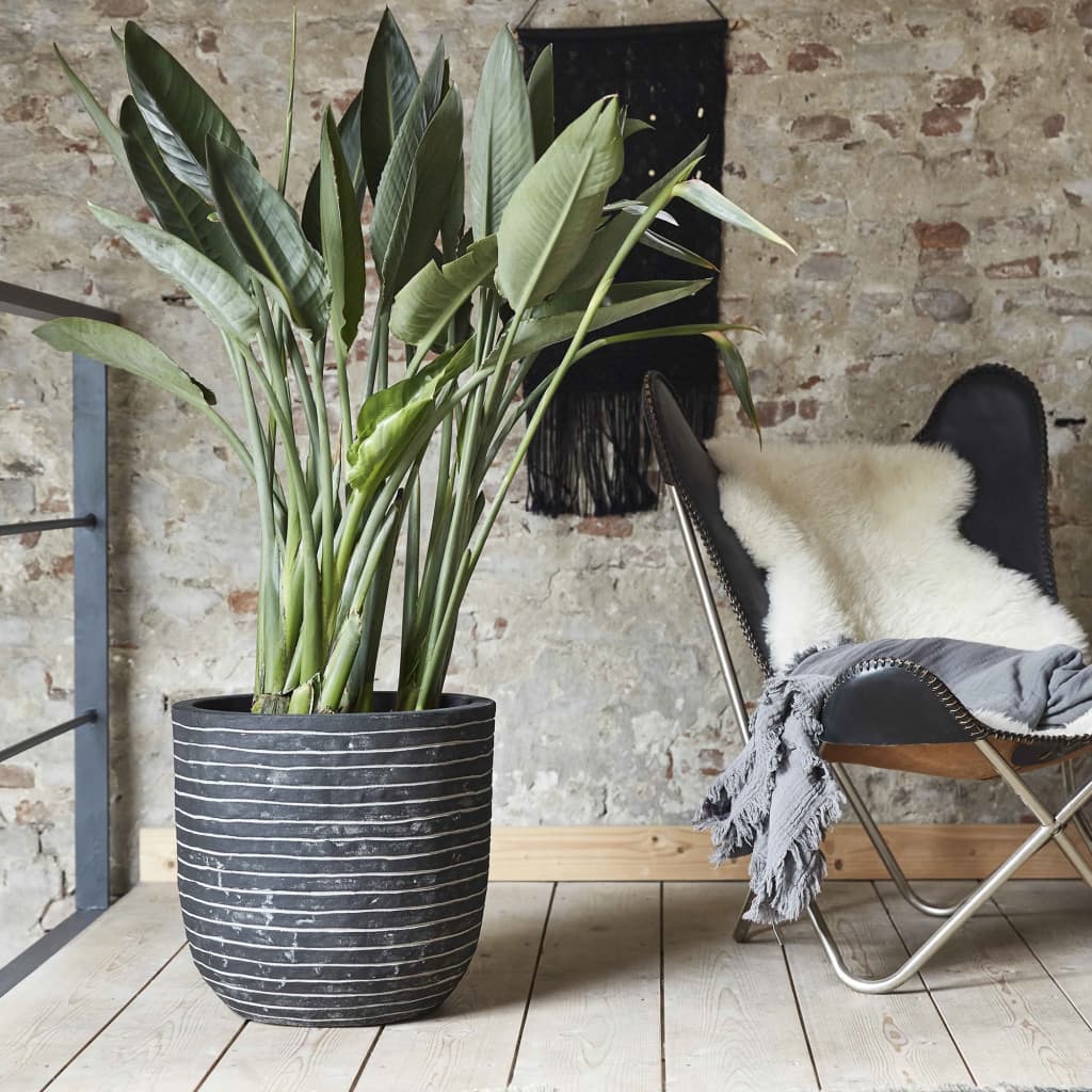 Capi Flowerpot Nature Row 54x52 cm antracyt WFD935