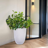 Capi Flowerpot Groove elegancki 34x46 cm kość słoniowa