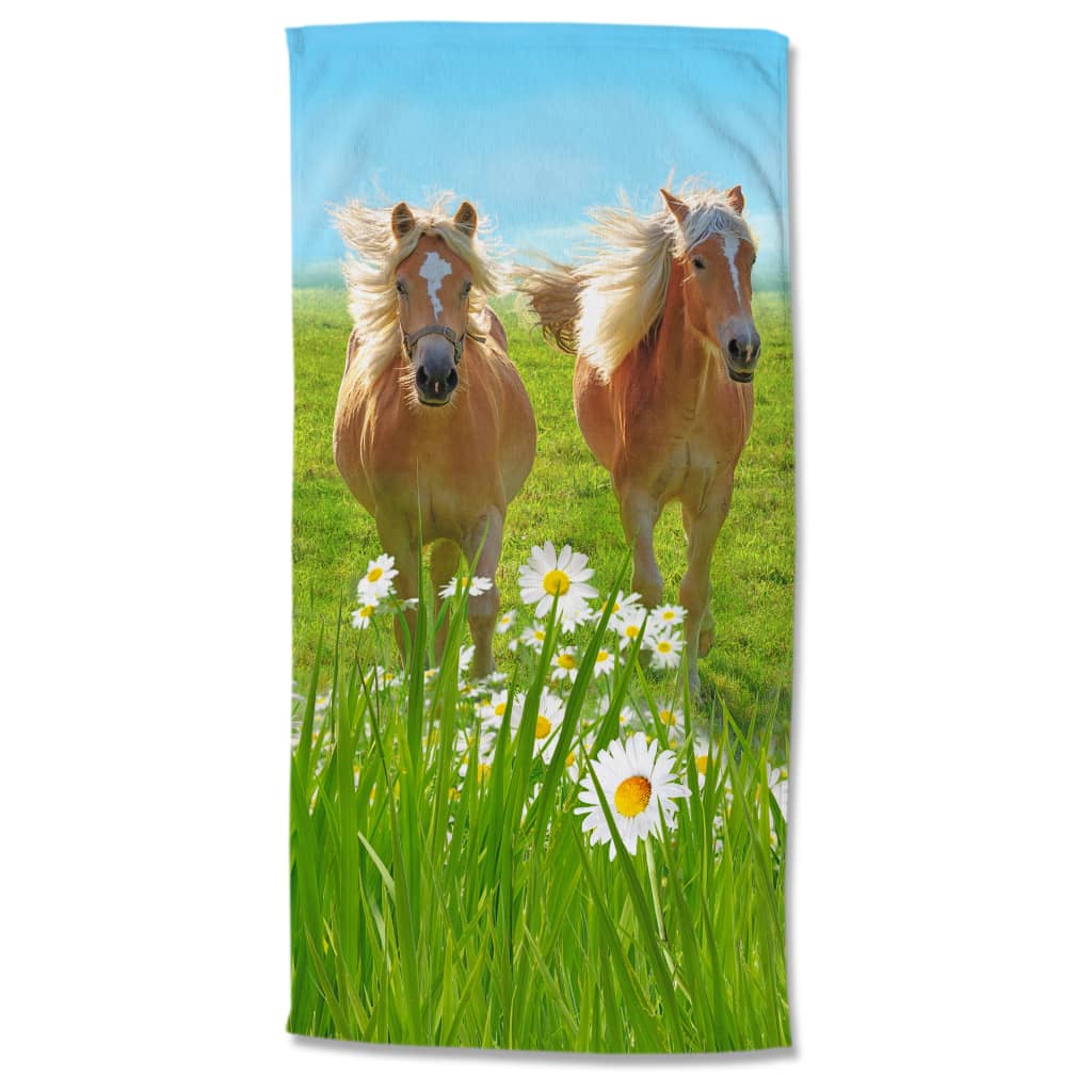 Dzień dobry Korses ręczników plażowych 75x150 cm Multi -Colored