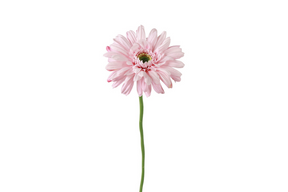 Countryfield kunstbloem gerbera leanne roze 8x8x63cm