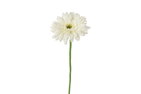 Countryfield kunstbloem gerbera leanne wit 8x8x63cm