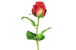 Countryfield kunstbloem rosa rood 52cm