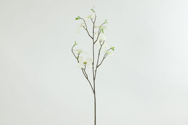 Countryfield kunstbloem cornus m wit 5x20x66cm