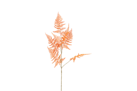 Countryfield kunstbloem asparagus s oranje 85cm