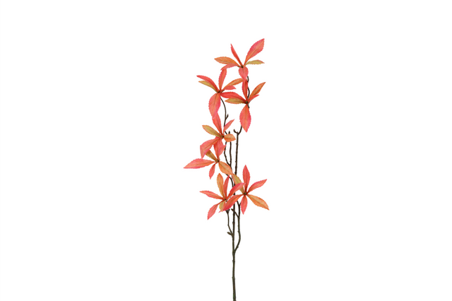 Countryfield kunstbloem pachira rood 80cm