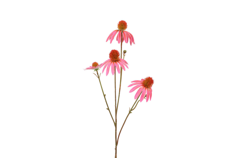 Countryfield kunstbloem echinacea fuchsia 10x10x77cm