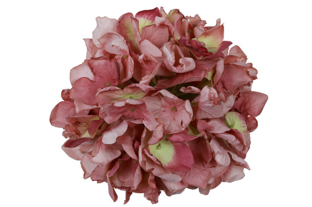 Countryfield bloem hydrangea grandy m 13x13x13cm - mauve