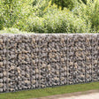 Stal ocynkowana Vidaxl Gabion 100x50x100 cm