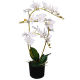 Vidaxl sztuczny orchidea roślin z garnkiem 65 cm biały