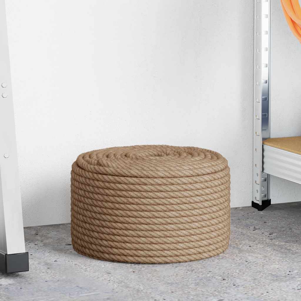 VIDAXL ROPE 100% JUTE 10 mm 100 m