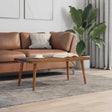 Vidaxl salontafel 100x50x40 cm teakhout hars