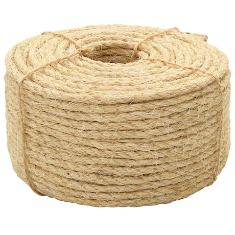 Vidaxl Rope 10 mm 100 m 100% siisal